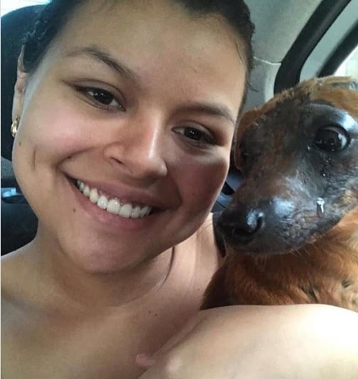 bemmaismulher.com - Cachorro que sofria maus tratos e foi queimado por antiga dona, chora ao ser adotado.