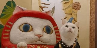 Há um santuário de gatos no Japão e seus monges são os mais fofos