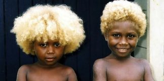 Conheça os melanésios, os únicos negros do mundo com cabelos loiros