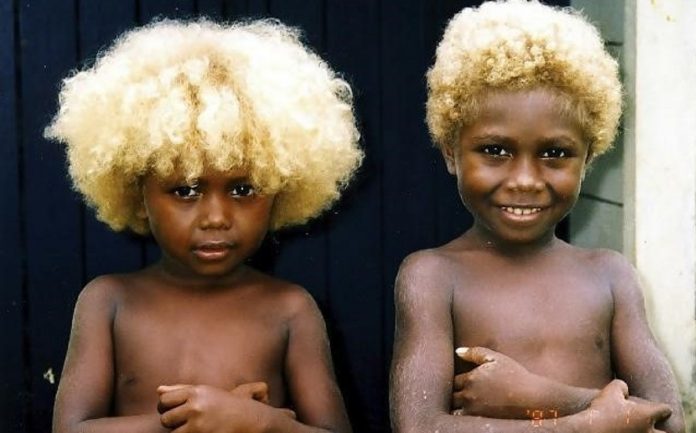 Conheça os melanésios, os únicos negros do mundo com cabelos loiros