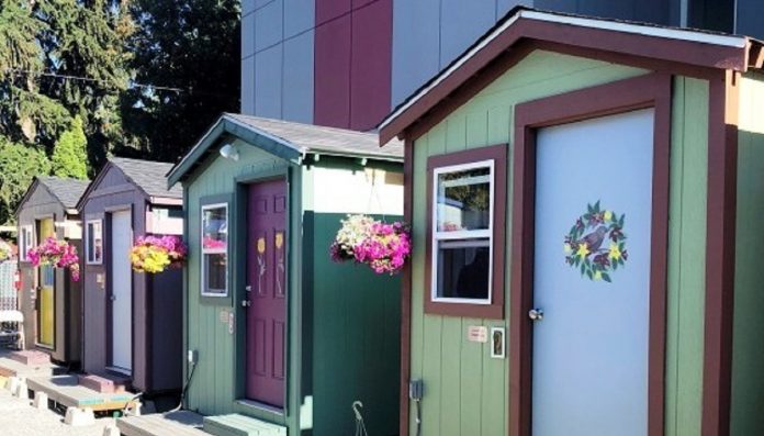 De mulheres para mulheres! Grupo de carpinteiras constrói vila de casas minimalistas para mulheres sem-teto morarem
