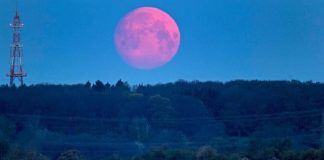 Uma super lua rosa ocorrerá “HOJE” não perca!