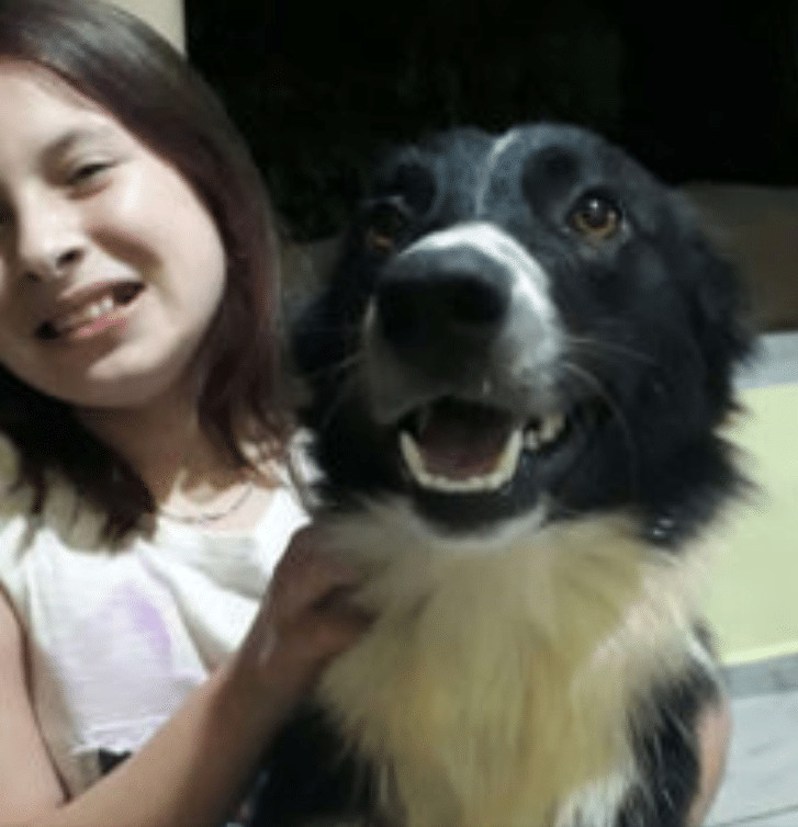 bemmaismulher.com - Mam&atilde;e registra cenas de um lindo cachorro &ldquo;ajudando&rdquo; sua filha a recolher as roupas do varal (v&iacute;deo)