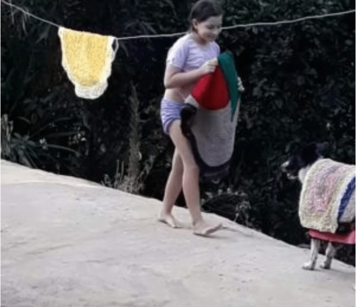 bemmaismulher.com - Mam&atilde;e registra cenas de um lindo cachorro &ldquo;ajudando&rdquo; sua filha a recolher as roupas do varal (v&iacute;deo)