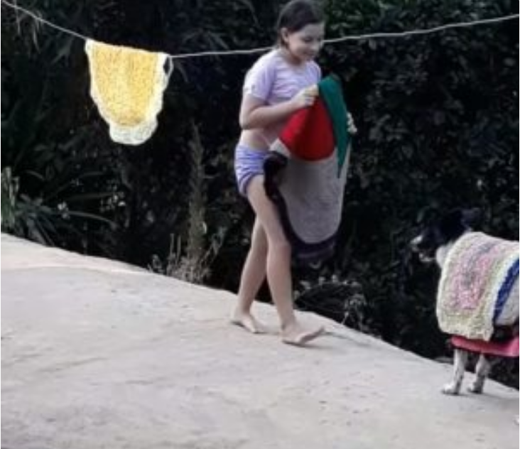 bemmaismulher.com - Mamãe registra cenas de um lindo cachorro “ajudando” sua filha a recolher as roupas do varal (vídeo)