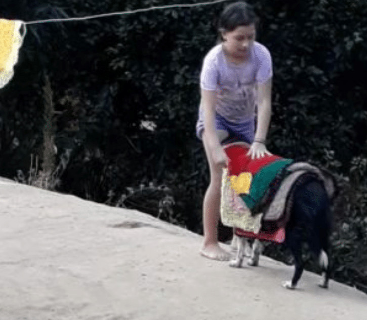 bemmaismulher.com - Mam&atilde;e registra cenas de um lindo cachorro &ldquo;ajudando&rdquo; sua filha a recolher as roupas do varal (v&iacute;deo)