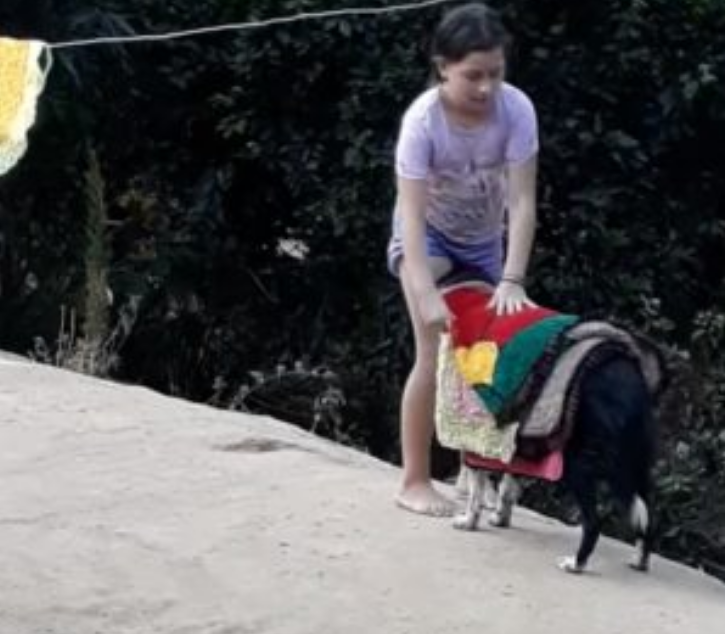 bemmaismulher.com - Mamãe registra cenas de um lindo cachorro “ajudando” sua filha a recolher as roupas do varal (vídeo)
