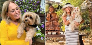 Susana vieira compartilha a fórmula da felicidade: “Tira o marido e põe quatro cachorros”