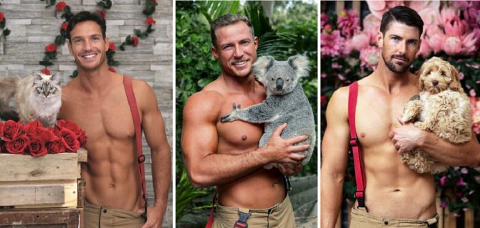 Bombeiros australianos lançaram o calendário de caridade 2022 com animais resgatados