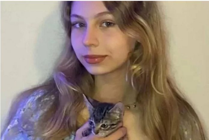 Menina que resgatou gato do bueiro segue os passos do pai veterinário