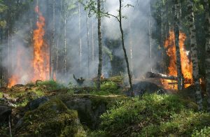 bemmaismulher.com - Onda de calor na Europa ultrapassa os 40 graus e provoca mais de 1.000 mortes na Espanha e Portugal